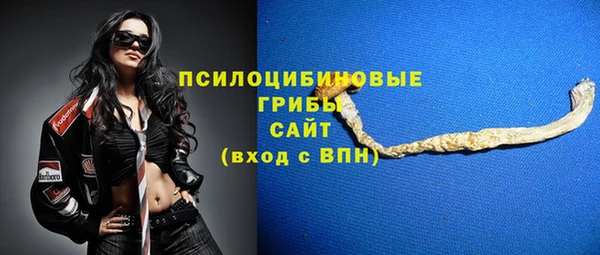 эйфоретик Беломорск