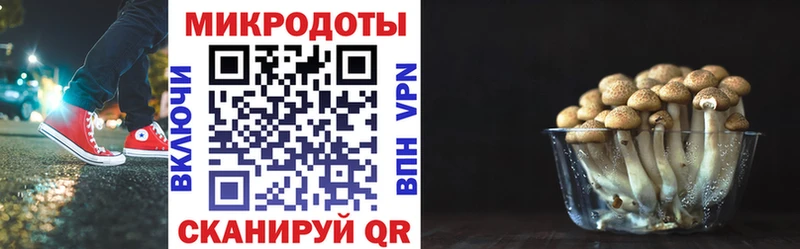 Галлюциногенные грибы Cubensis  Энгельс 